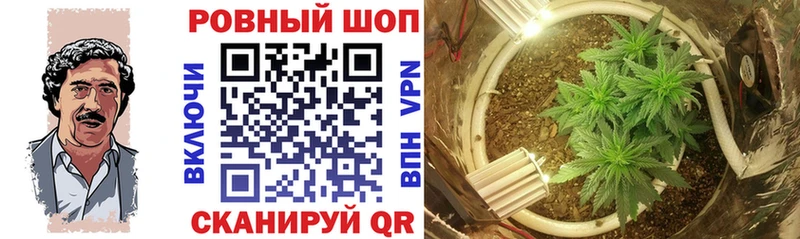 Все наркотики Домодедово АМФЕТАМИН  Alpha-PVP  Псилоцибиновые грибы  Кокаин  Бошки Шишки  ГАШИШ 