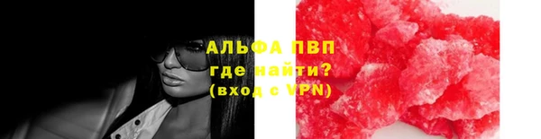 амф Верхний Тагил