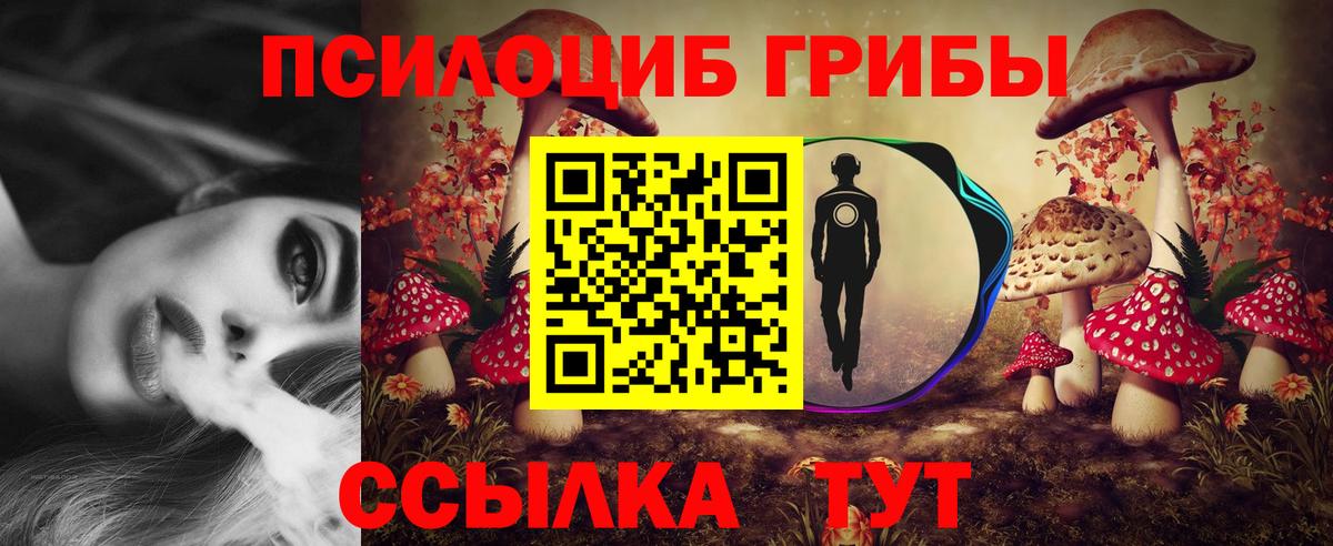Домодедово  Галлюциногенные грибы GOLDEN TEACHER  Вход с VPN 